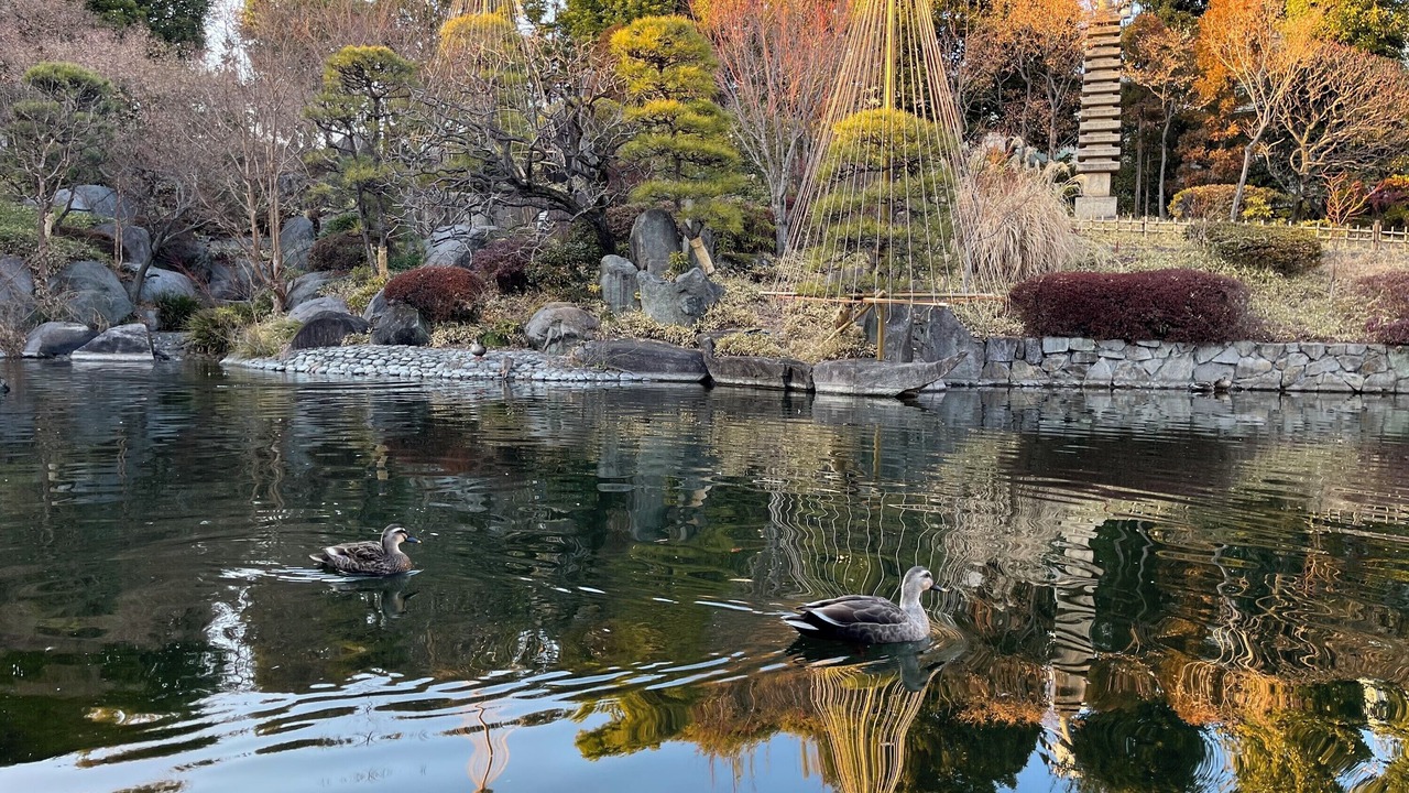 Photo of Outdoor in Toshima