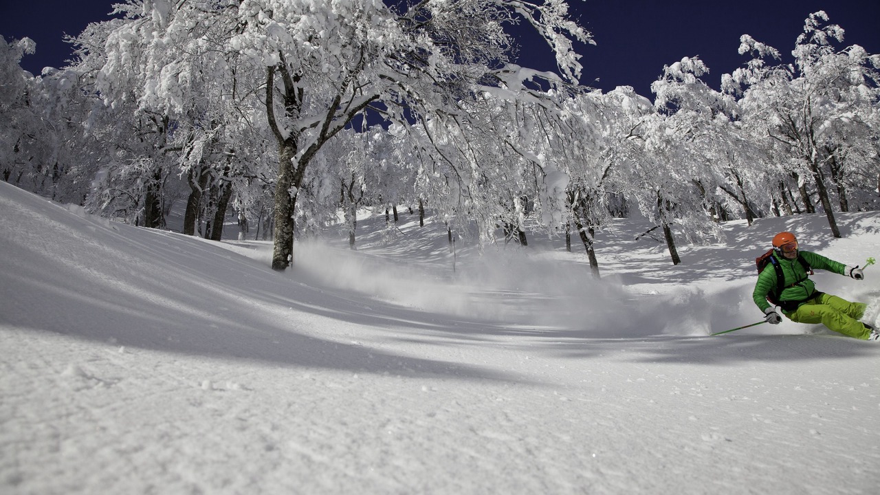 Photo of Others in Otari-mura