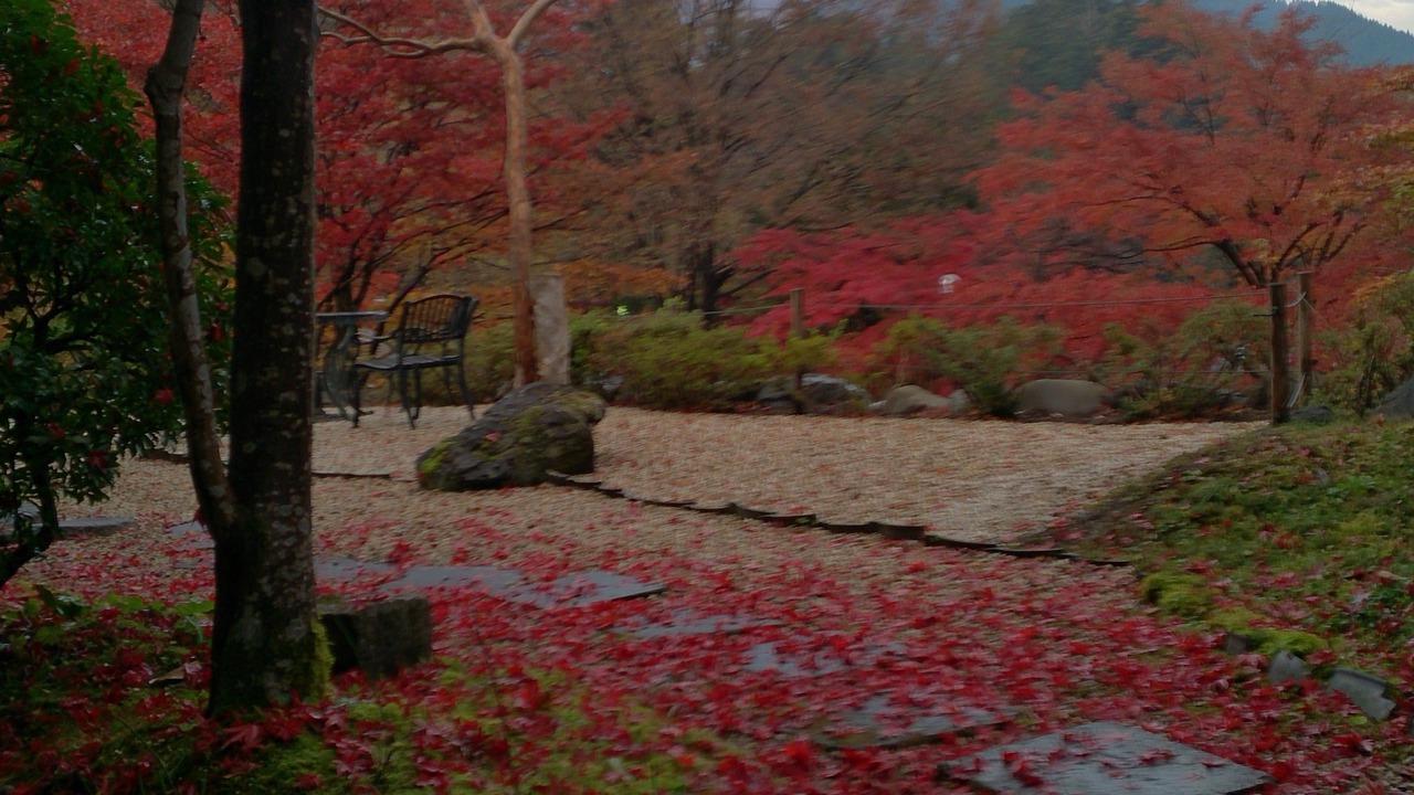 Photo of Outdoor in Nikko