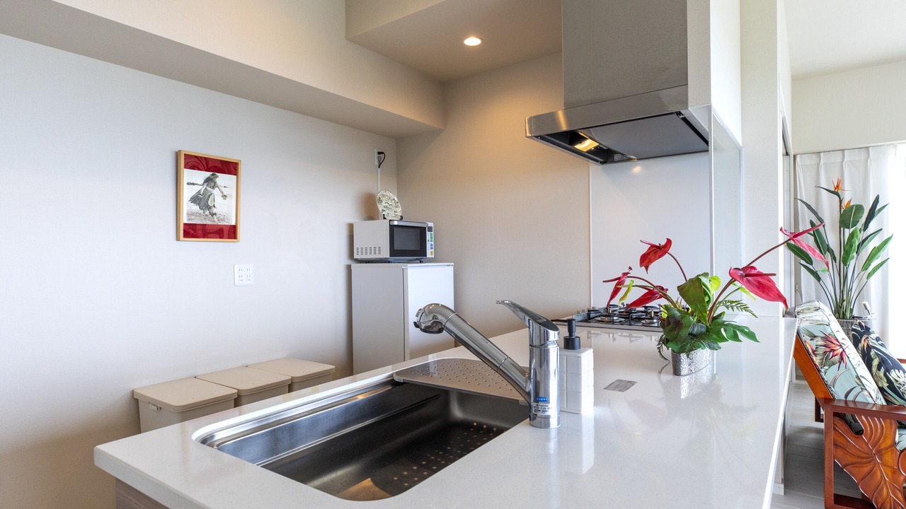 Photo of Kitchen in Motobu