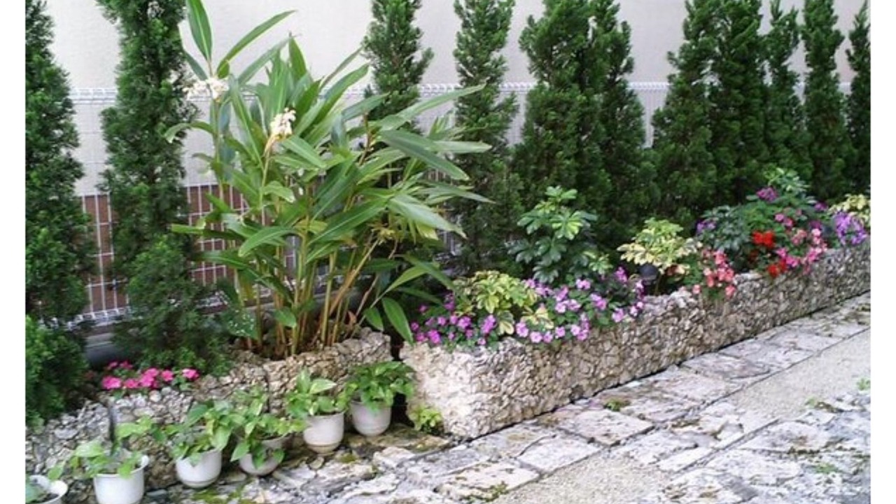 Photo of Outdoor in Makishi