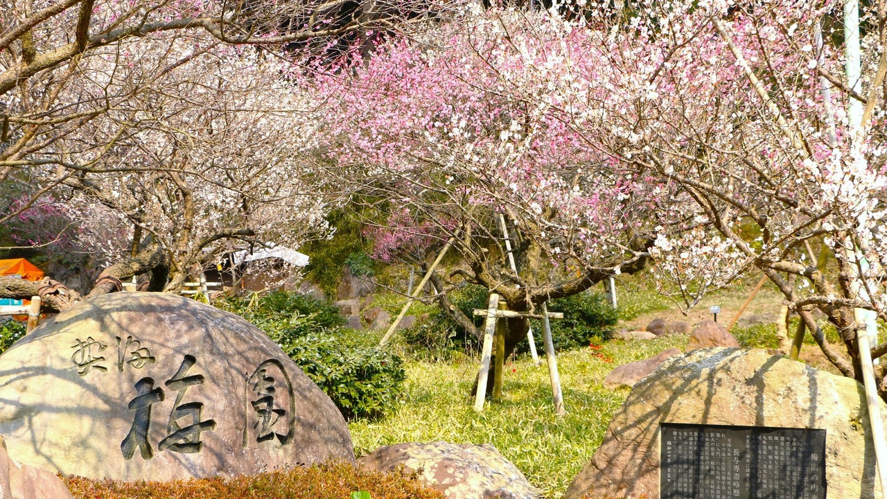 Photo of Others in Atami