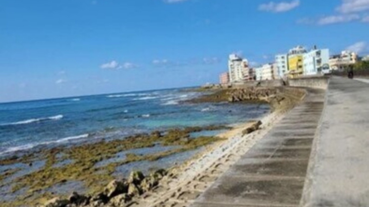 Photo of Others in Chatan