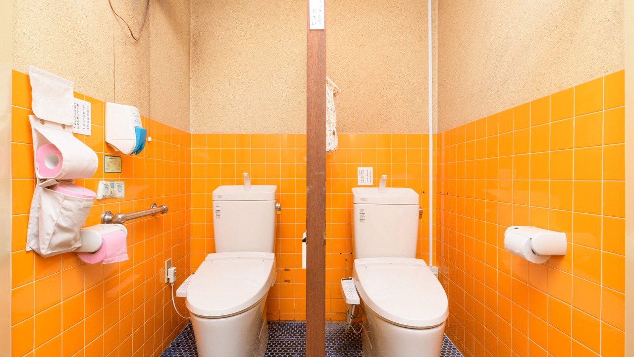 Photo of Bathroom in Minamichita
