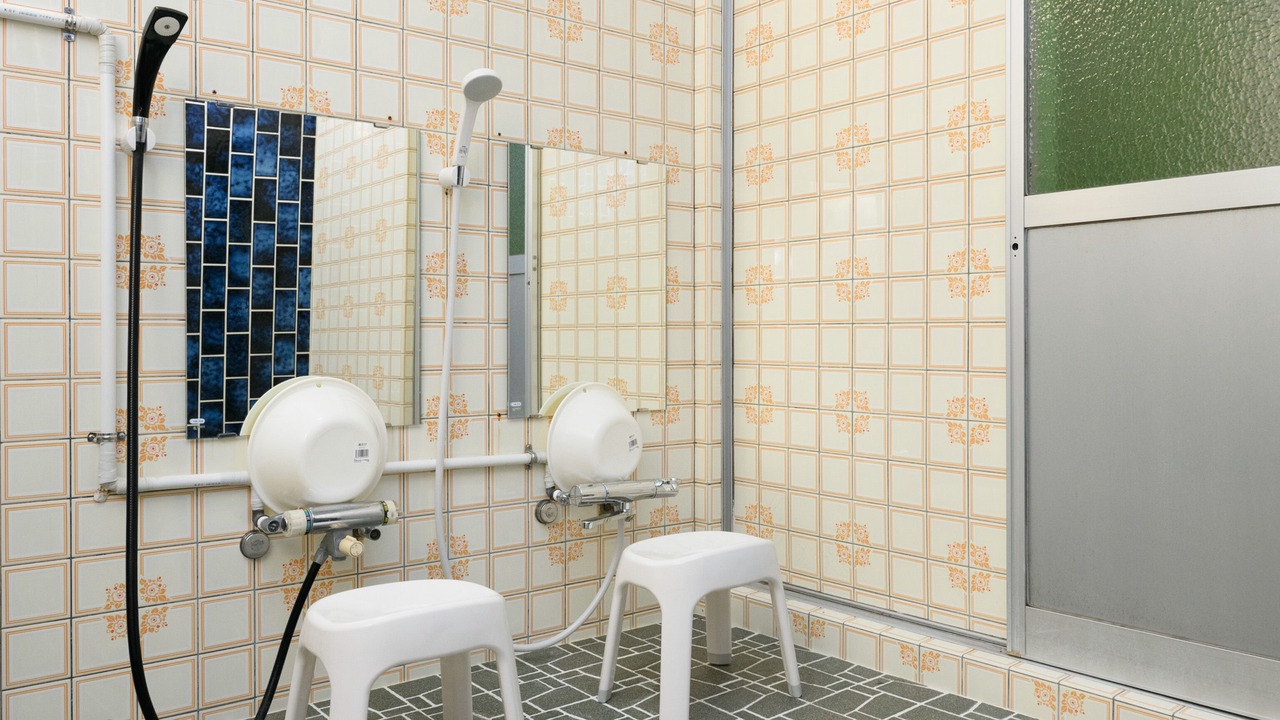 Photo of Bathroom in Minamichita