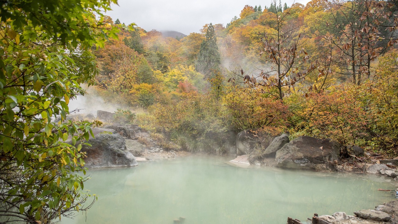 Photo of Others in Yuzawa