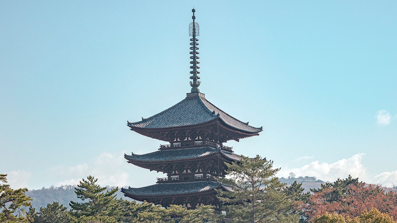 Photo of Others in Nara