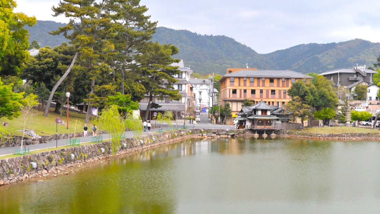 Photo of Others in Nara
