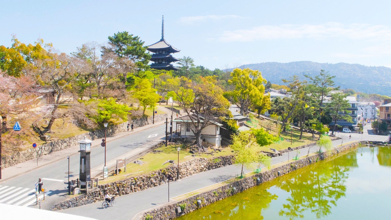 Photo of Outdoor in Nara
