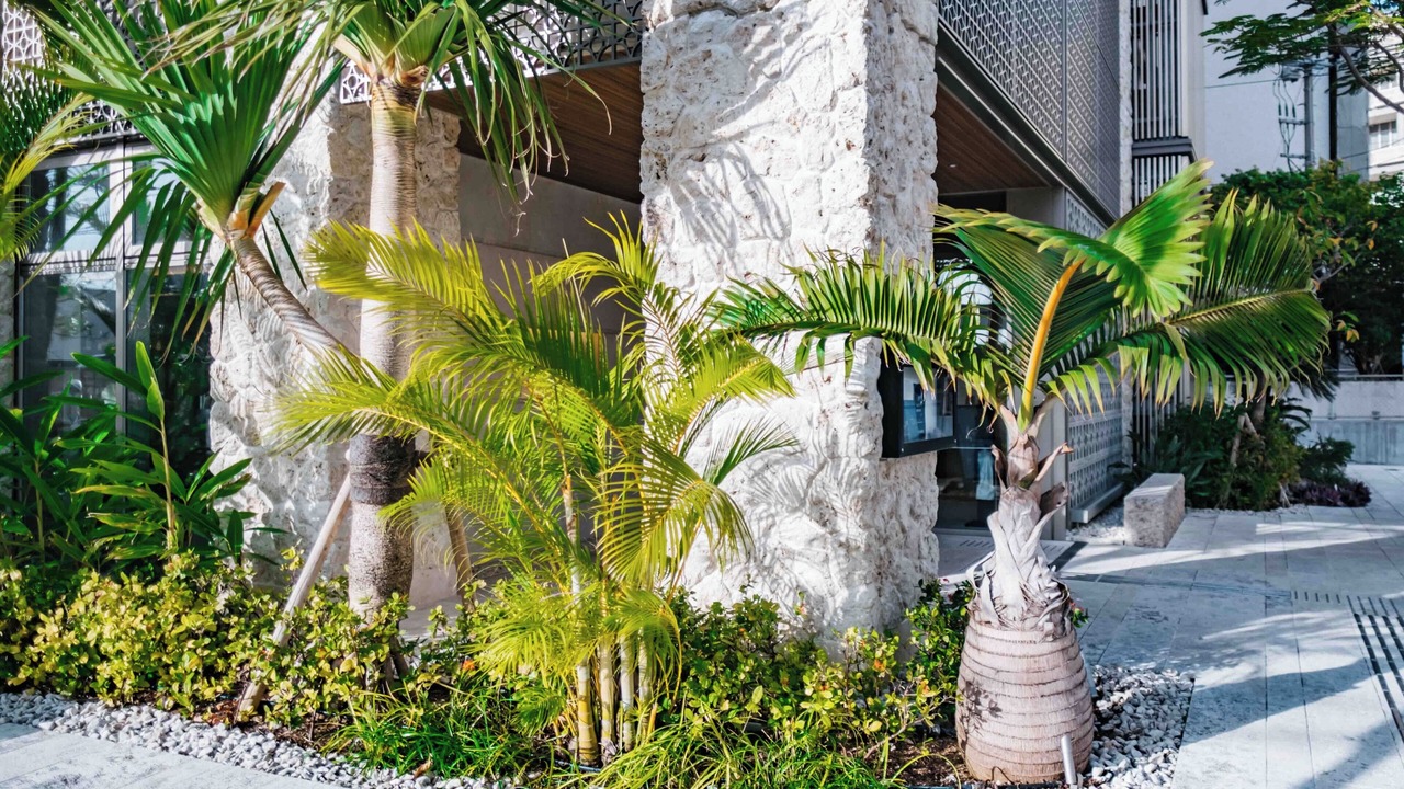 Photo of Outdoor in Naha City Centre