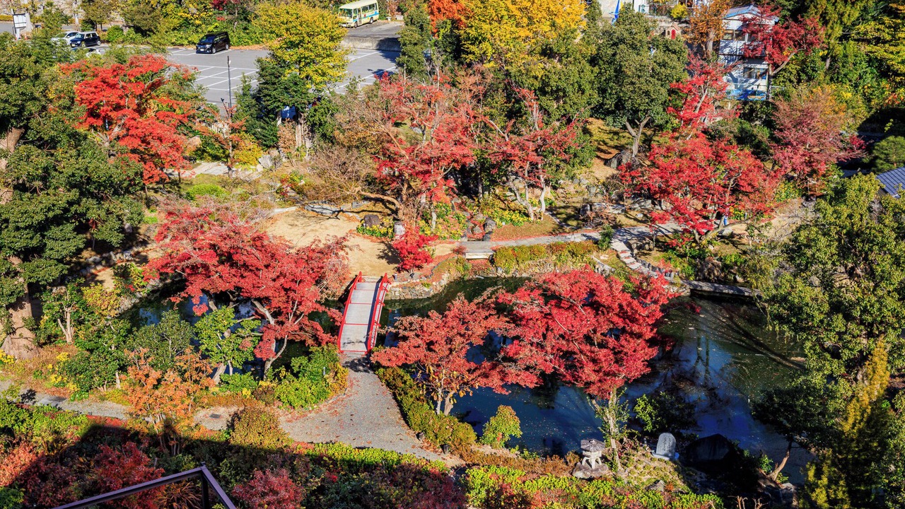 Photo of Outdoor in Okazaki