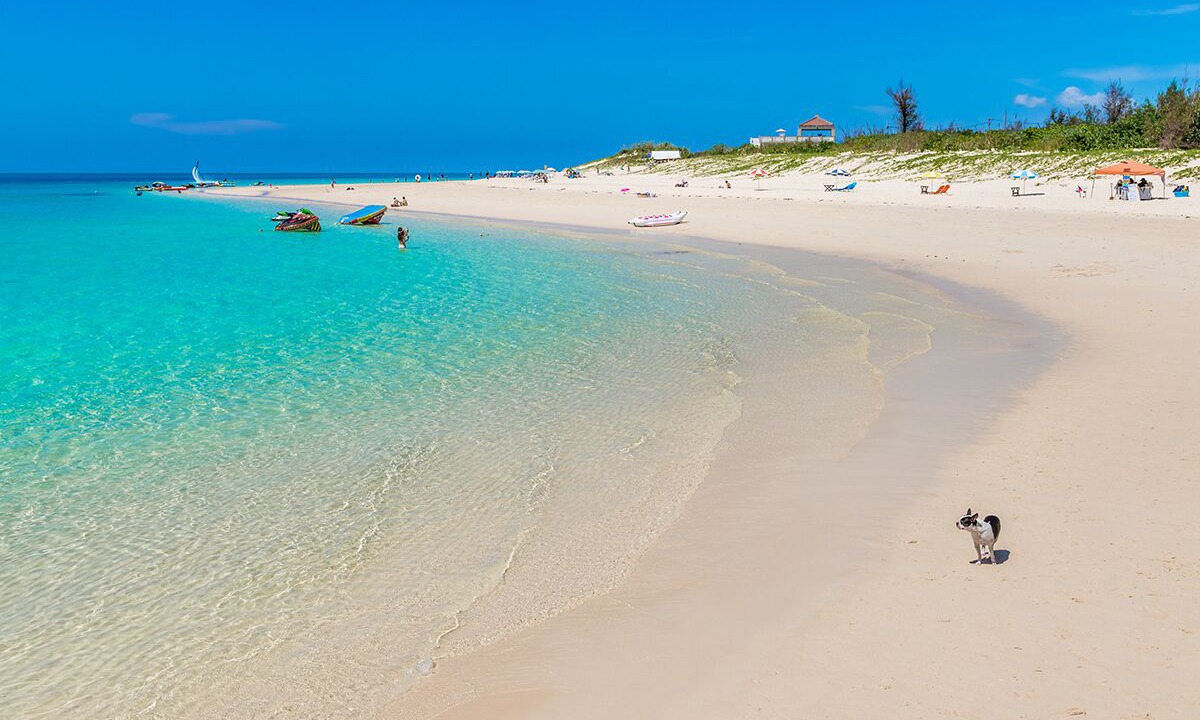 Photo of Others in Miyakojima