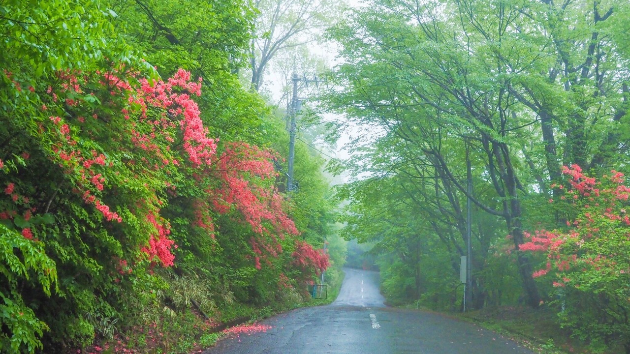 Photo of Outdoor in Nasu