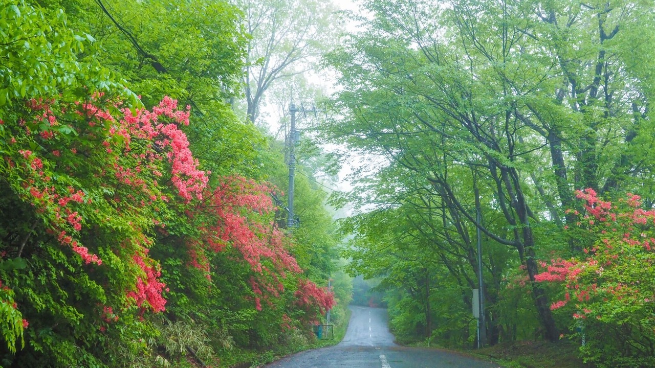 Photo of Outdoor in Nasu