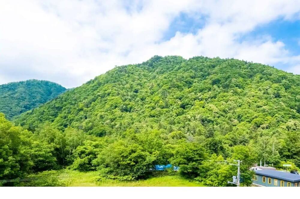 Photo of Others in Minami