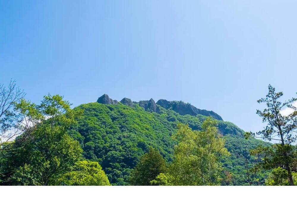 Photo of Others in Minami