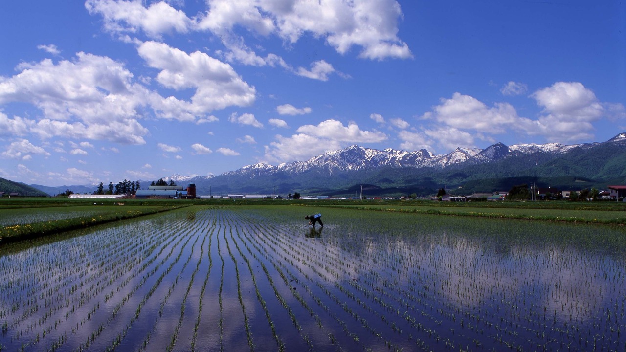 Photo of Outdoor in Furano