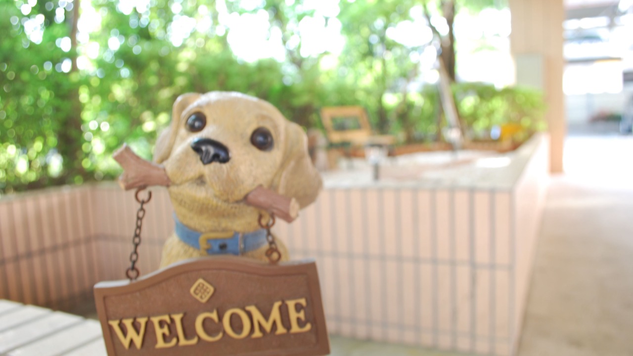 Photo of Outdoor in Kawaguchi