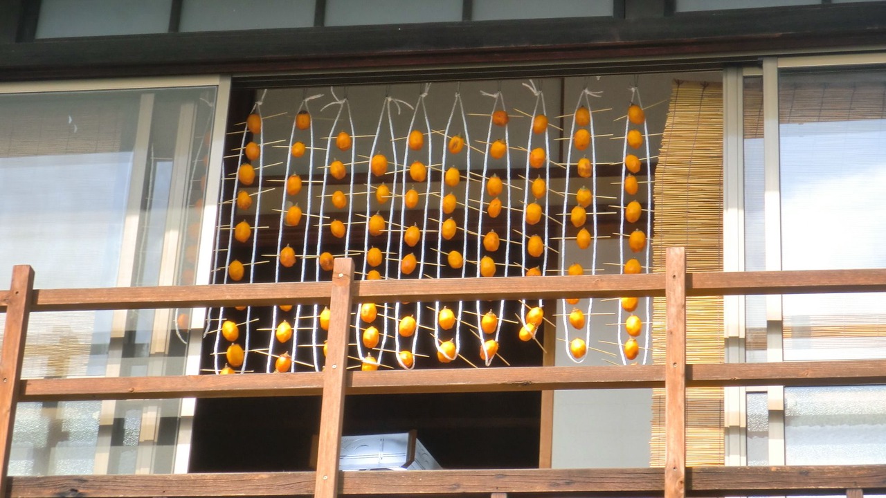 Photo of Patio Balcony in Nara