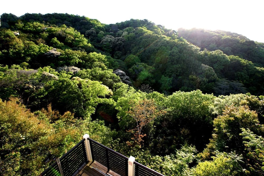 Photo of Others in Shirahama