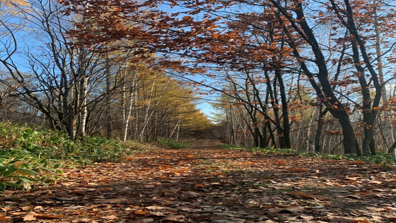 Photo of Others in Asahikawa