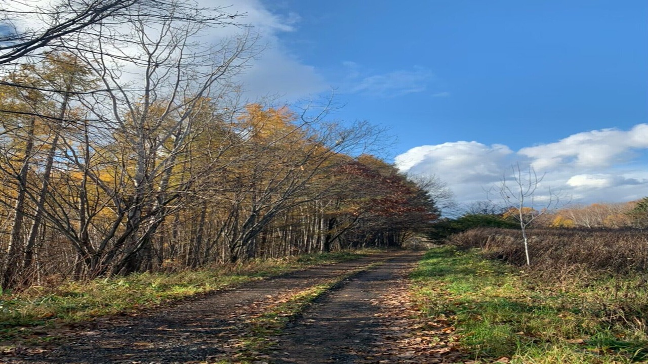 Photo of Others in Asahikawa