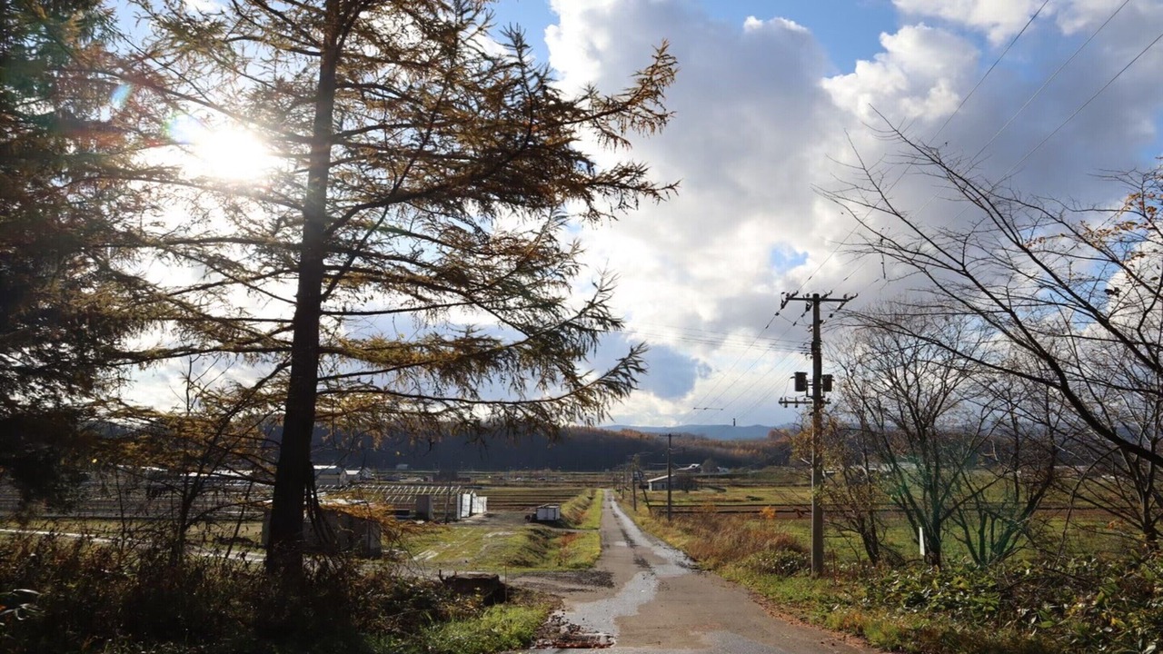 Photo of Others in Asahikawa