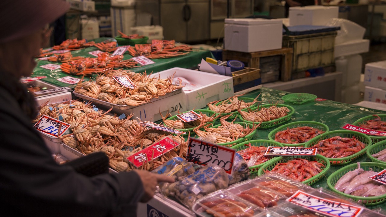 Photo of Others in Katamachi