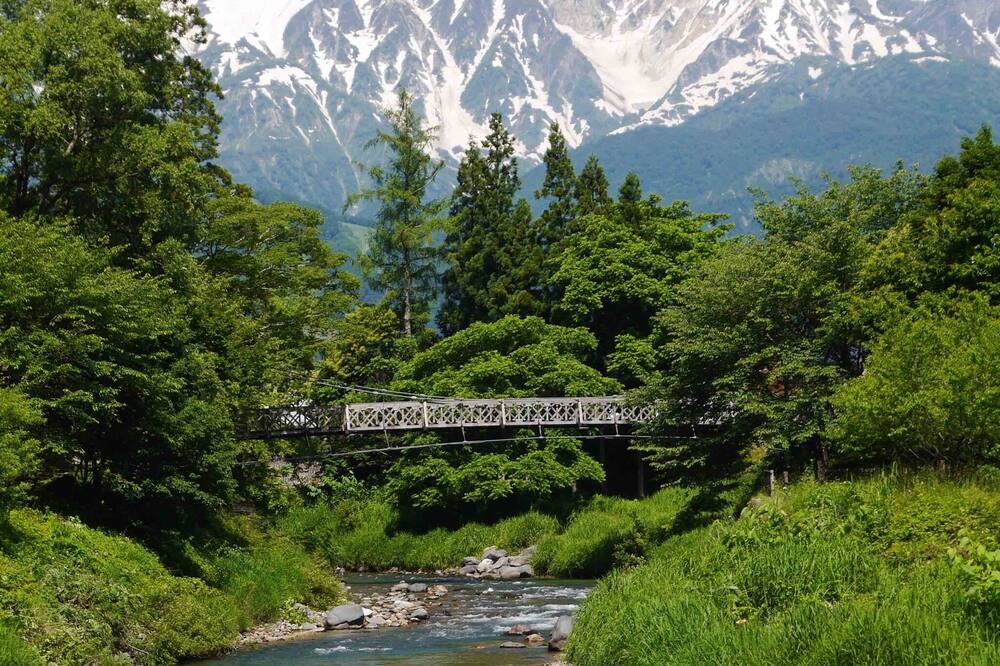 Photo of Others in Hakuba