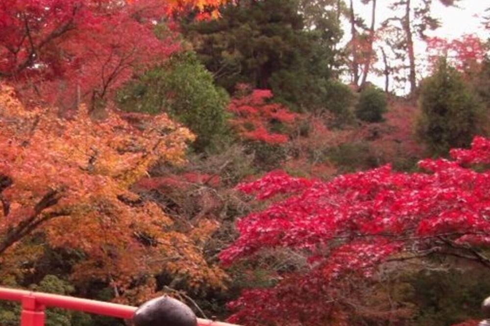 Photo of Outdoor in Hiroshima City Centre