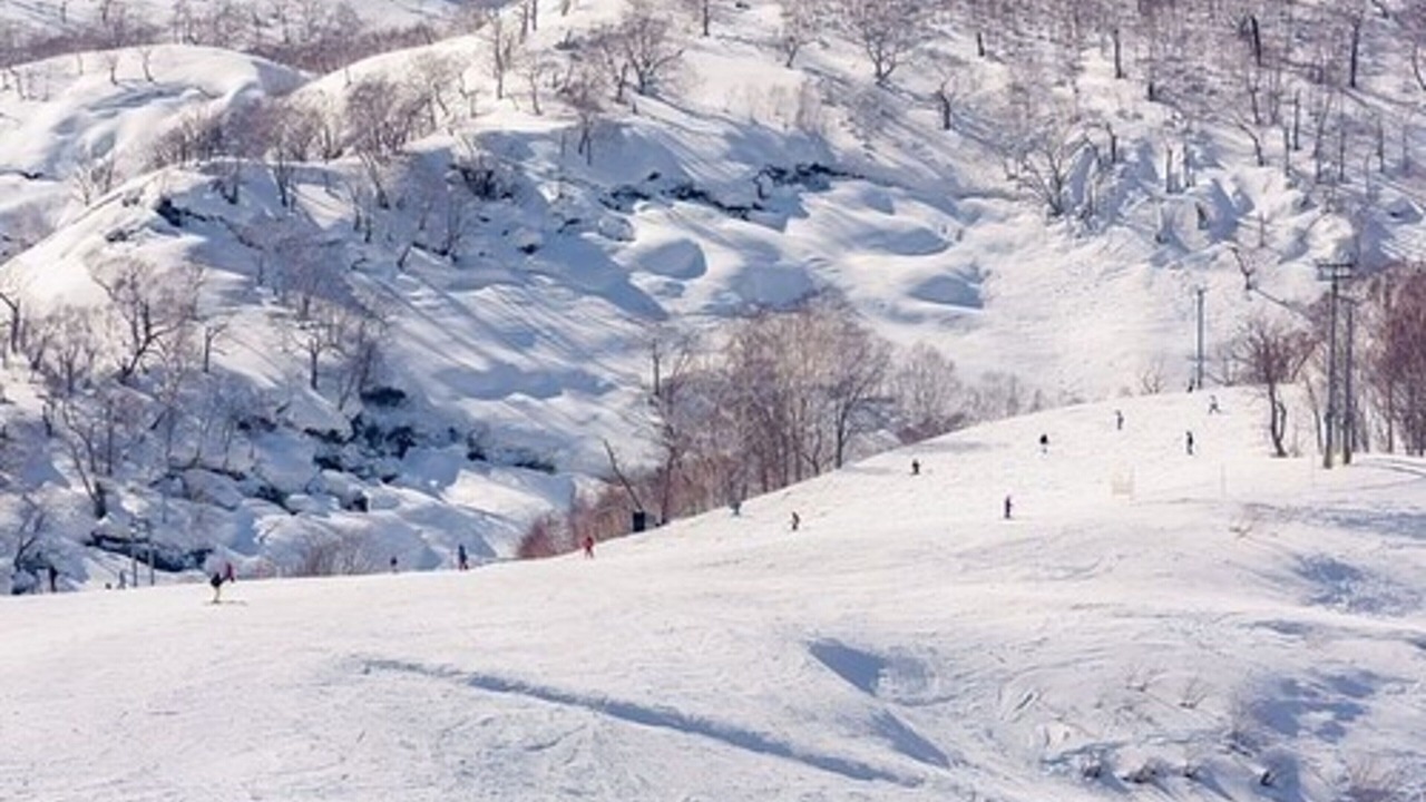 Photo of Others in Hirafu