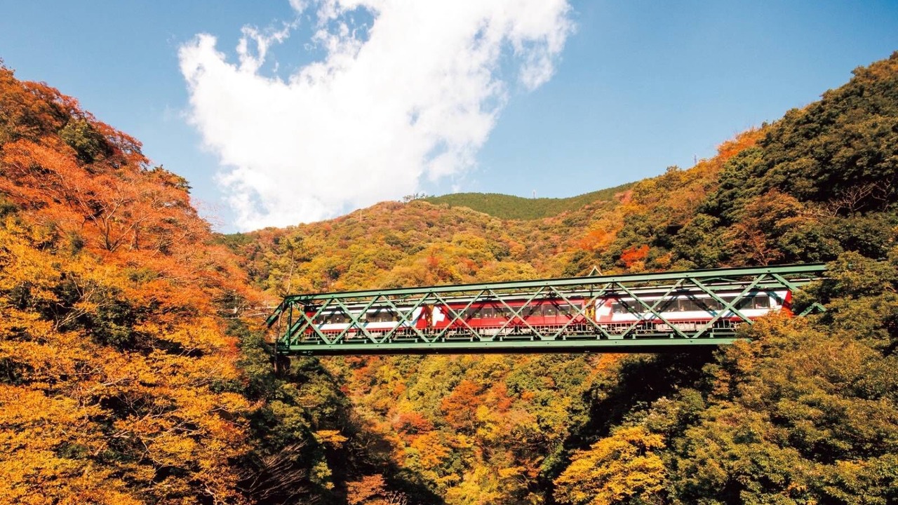 Photo of Others in Hakone