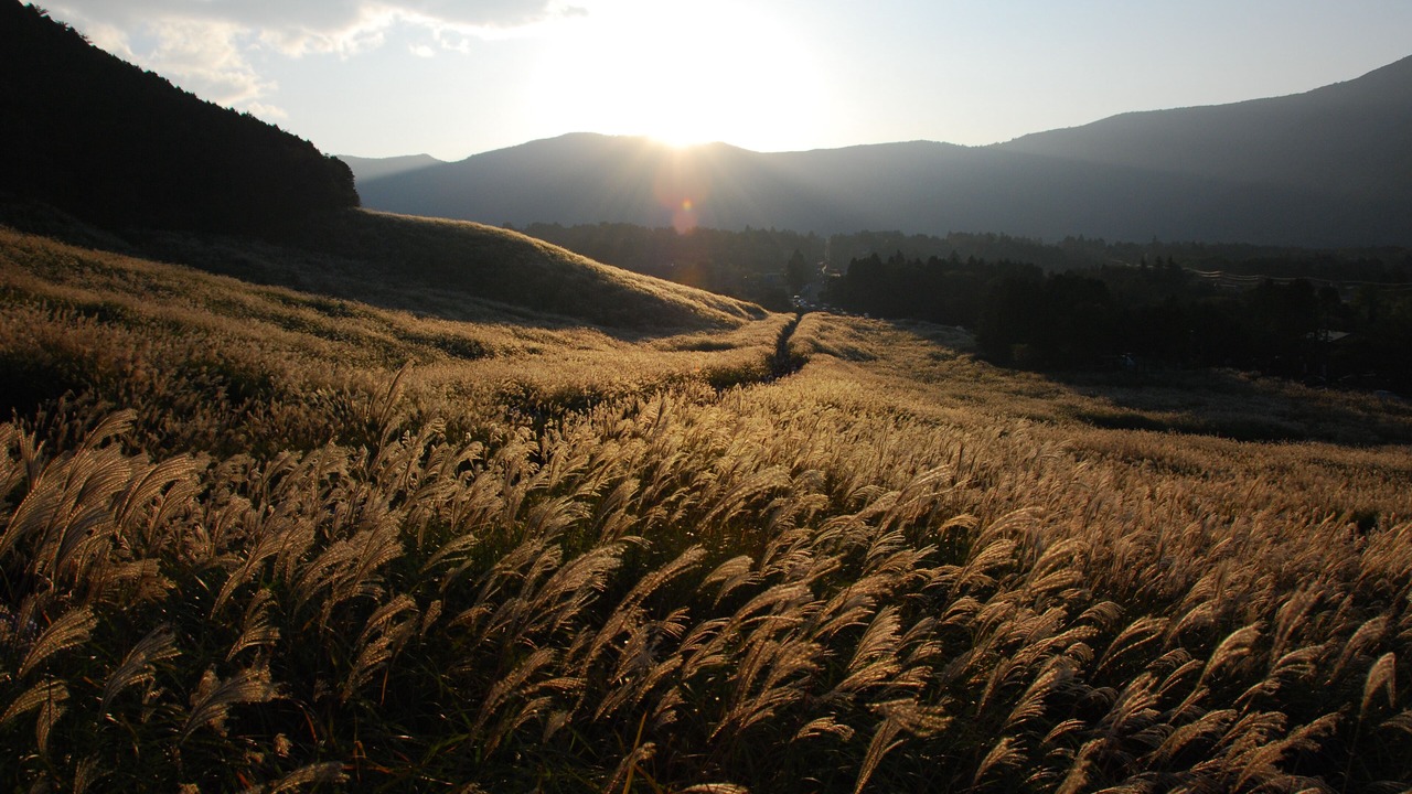 Photo of Others in Hakone