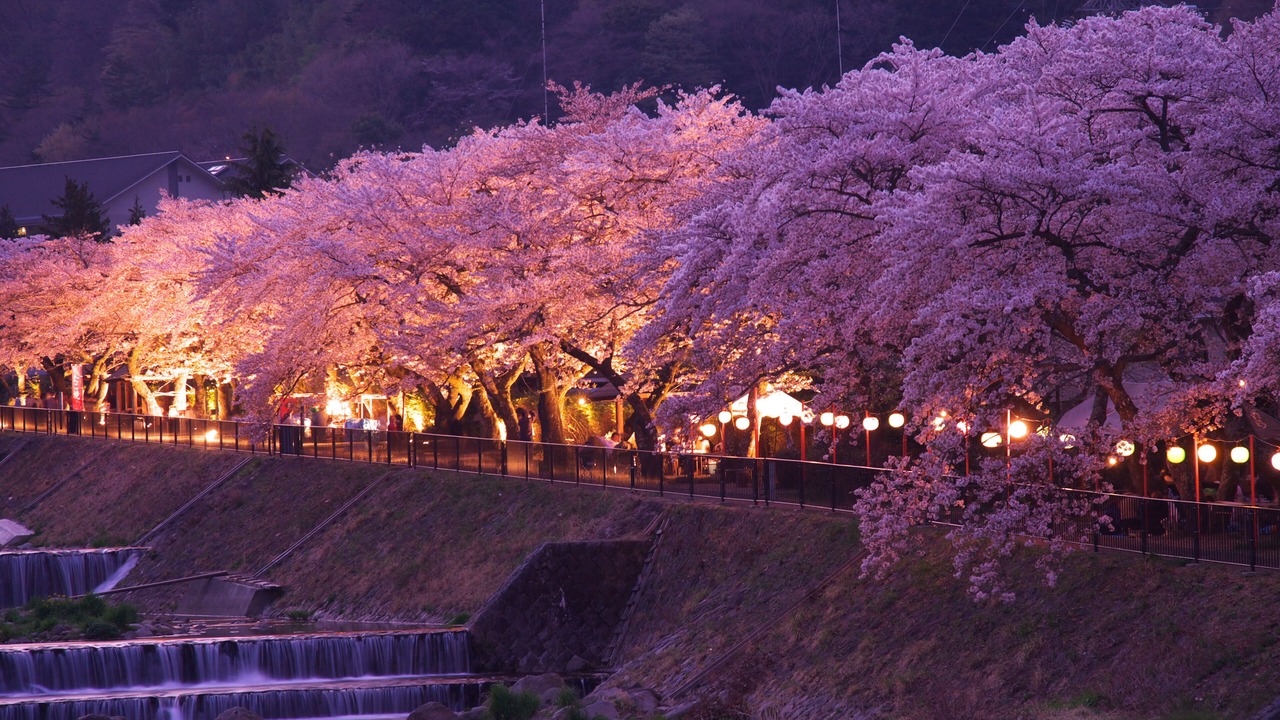 Photo of Others in Hakone