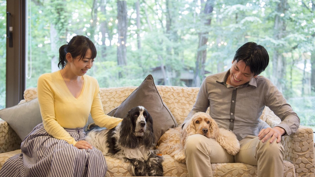 Photo of Others in Yamanakako