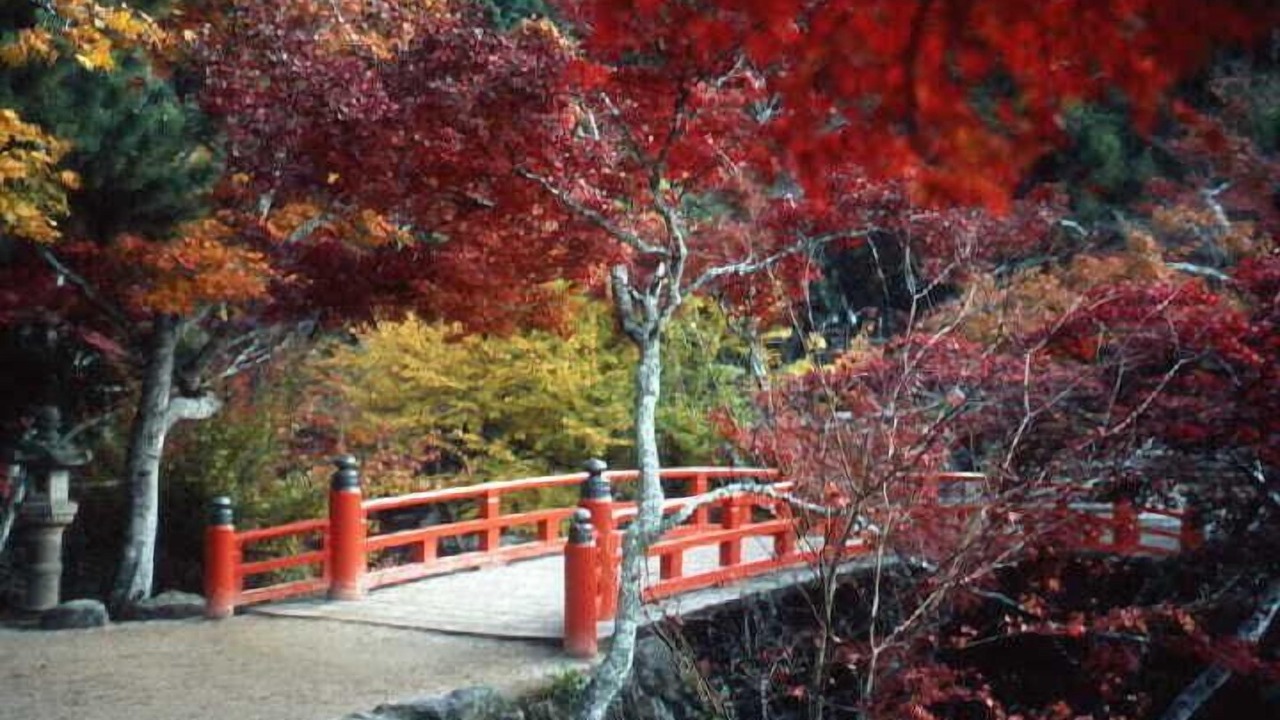 Photo of Others in Itsukushima