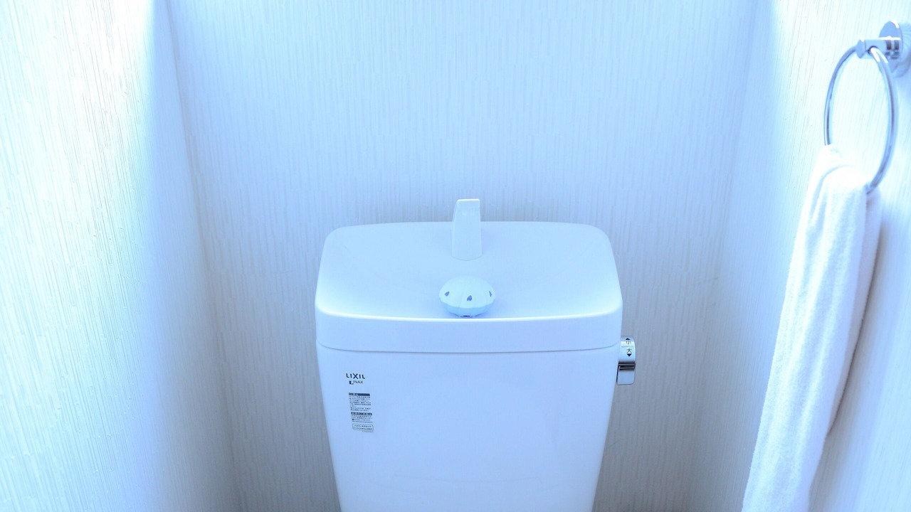 Photo of Bathroom in Minami