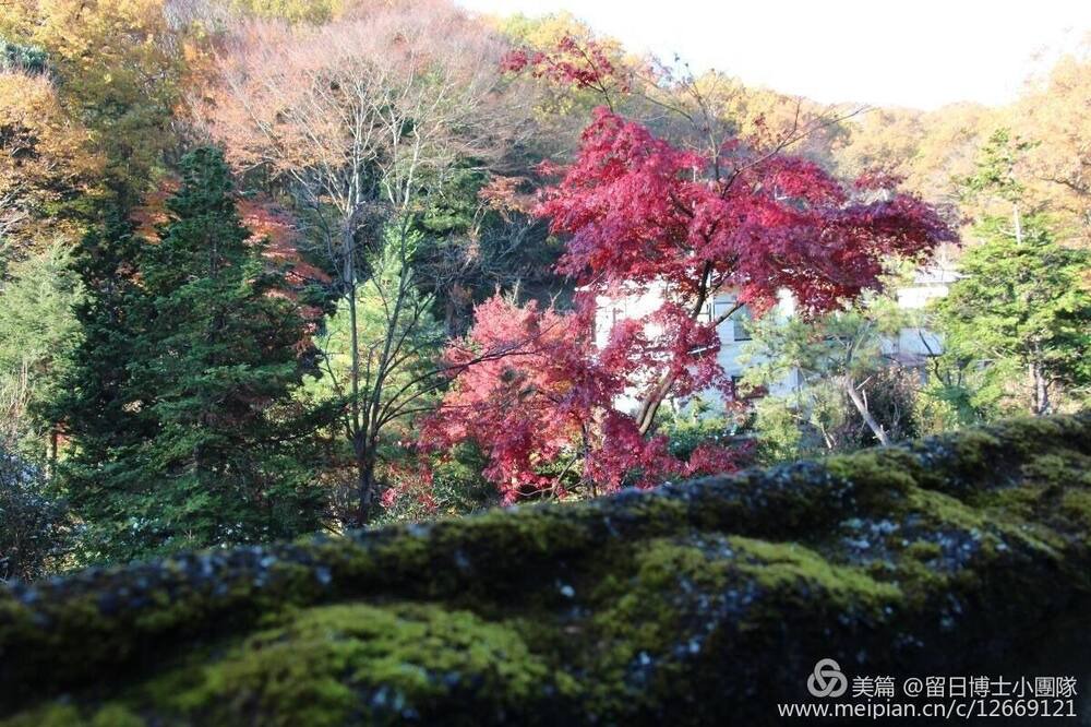 Photo of Outdoor in Hachioji