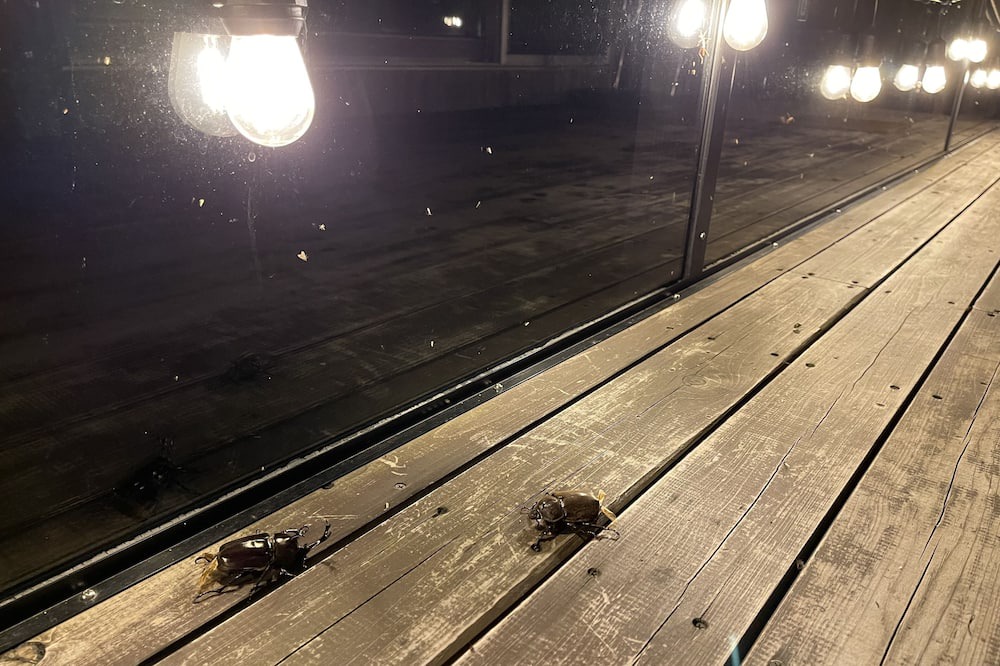 Photo of Patio Balcony in Inatori
