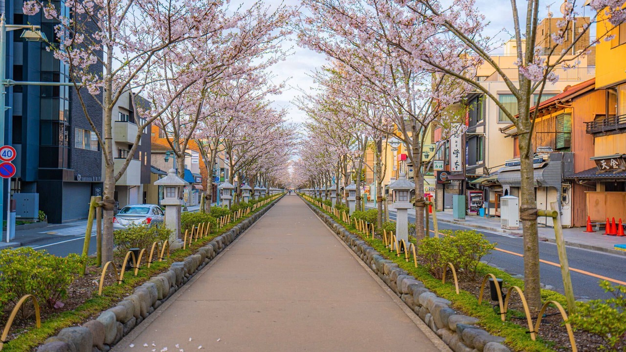 Photo of Others in Kamakura