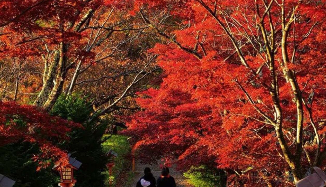 Photo of Others in Fujiyoshida