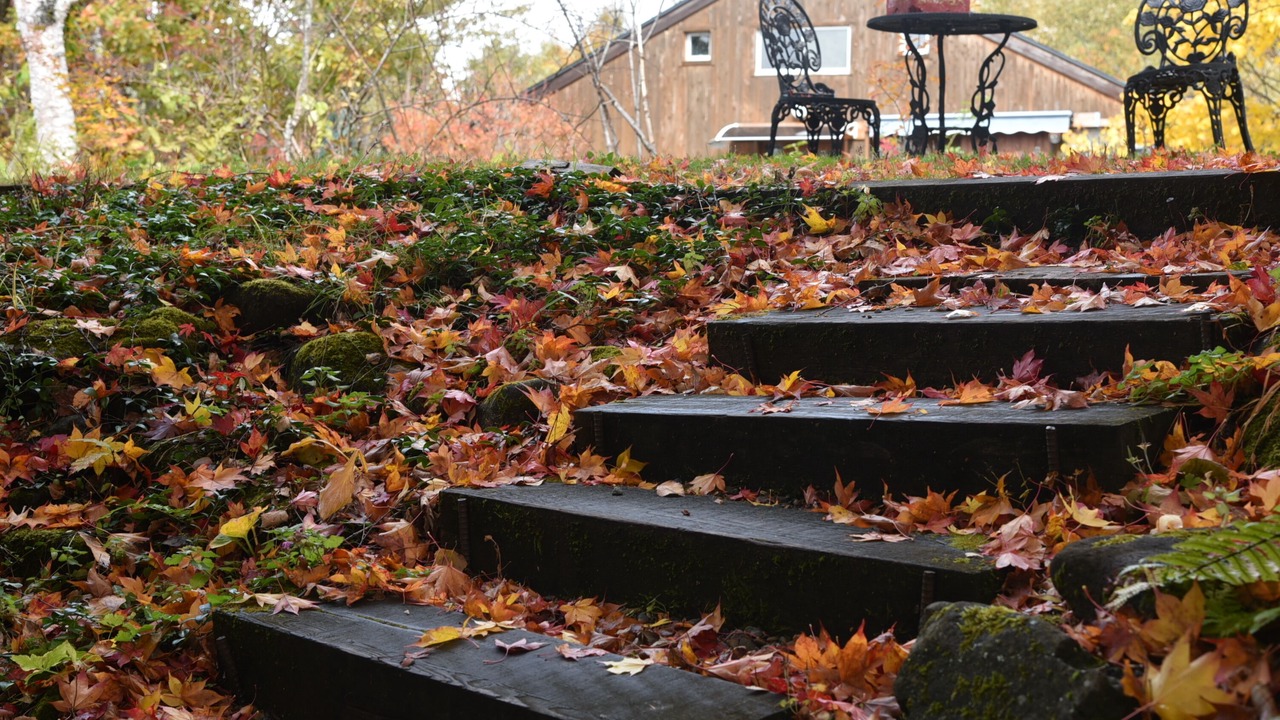 Photo of Outdoor in Hara