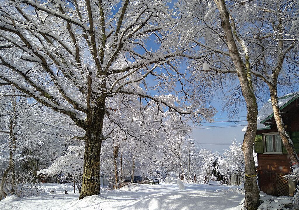 Photo of Outdoor in Hara