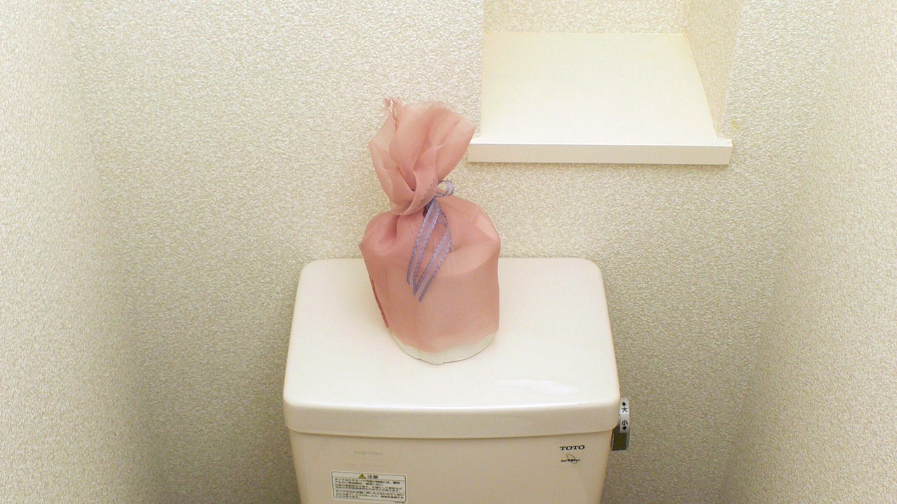Photo of Bathroom in Sano