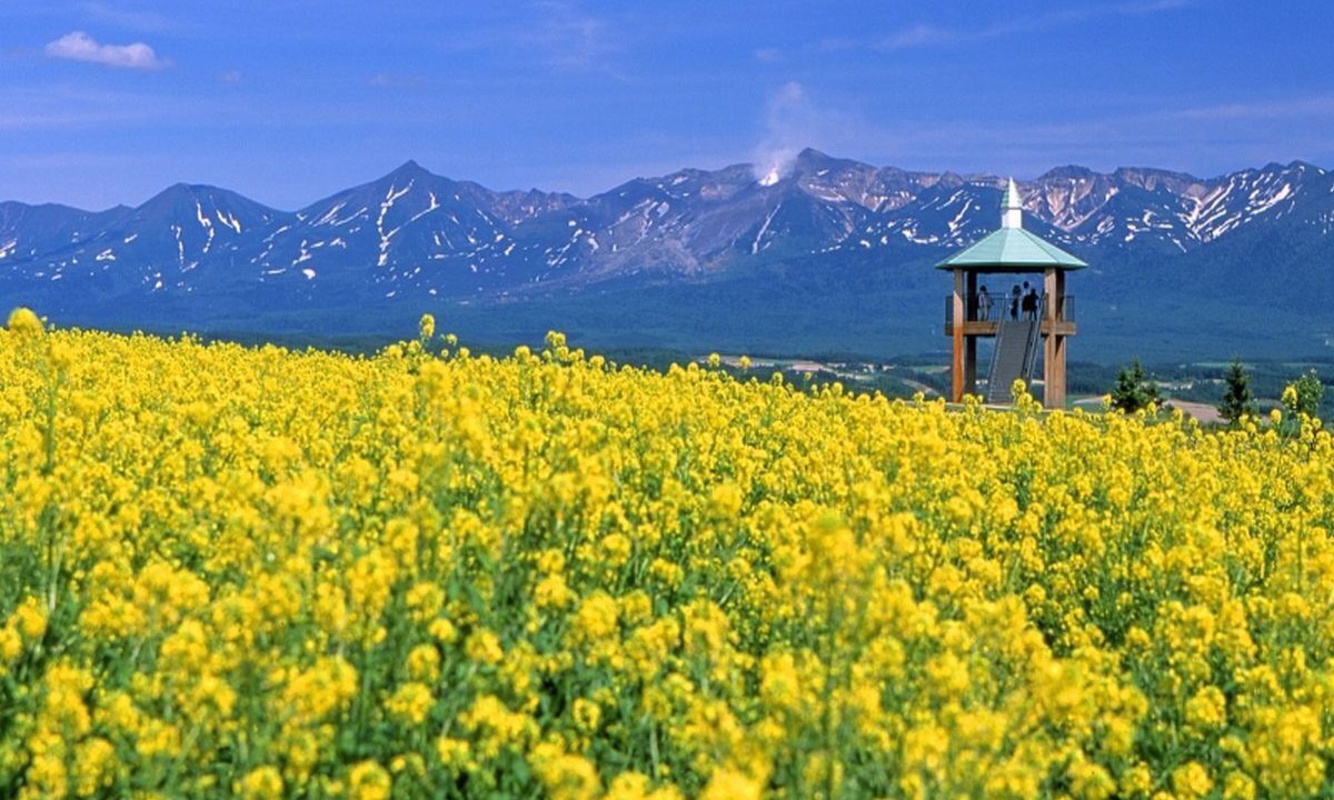 Photo of Others in Furano