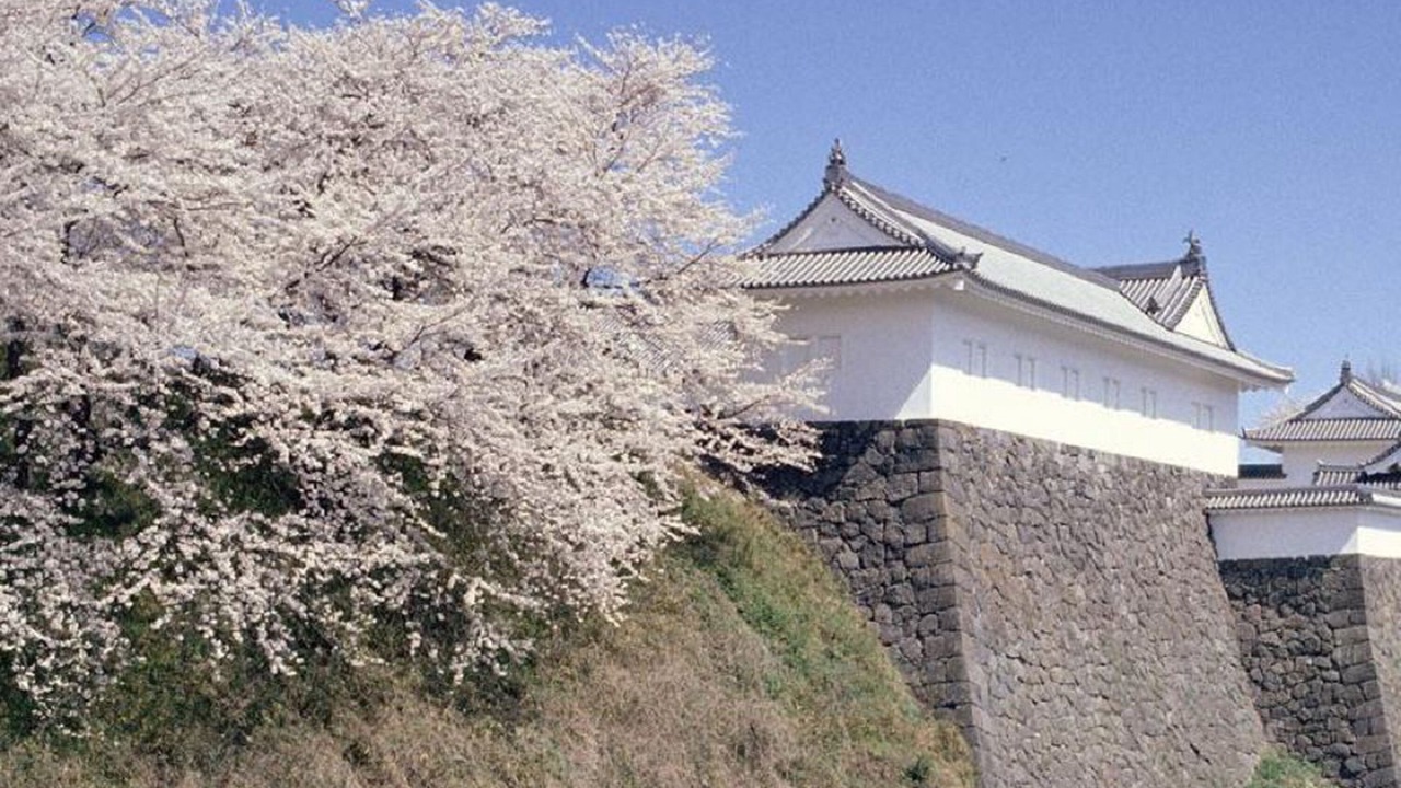 Photo of Others in Yamagata