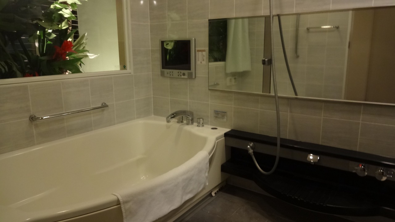 Photo of Bathroom in Hanasakicho