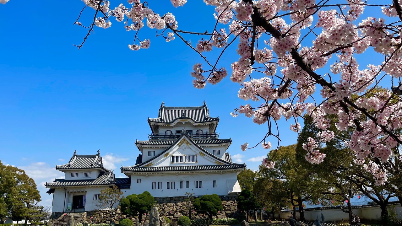 Photo of Outdoor in Kishiwada