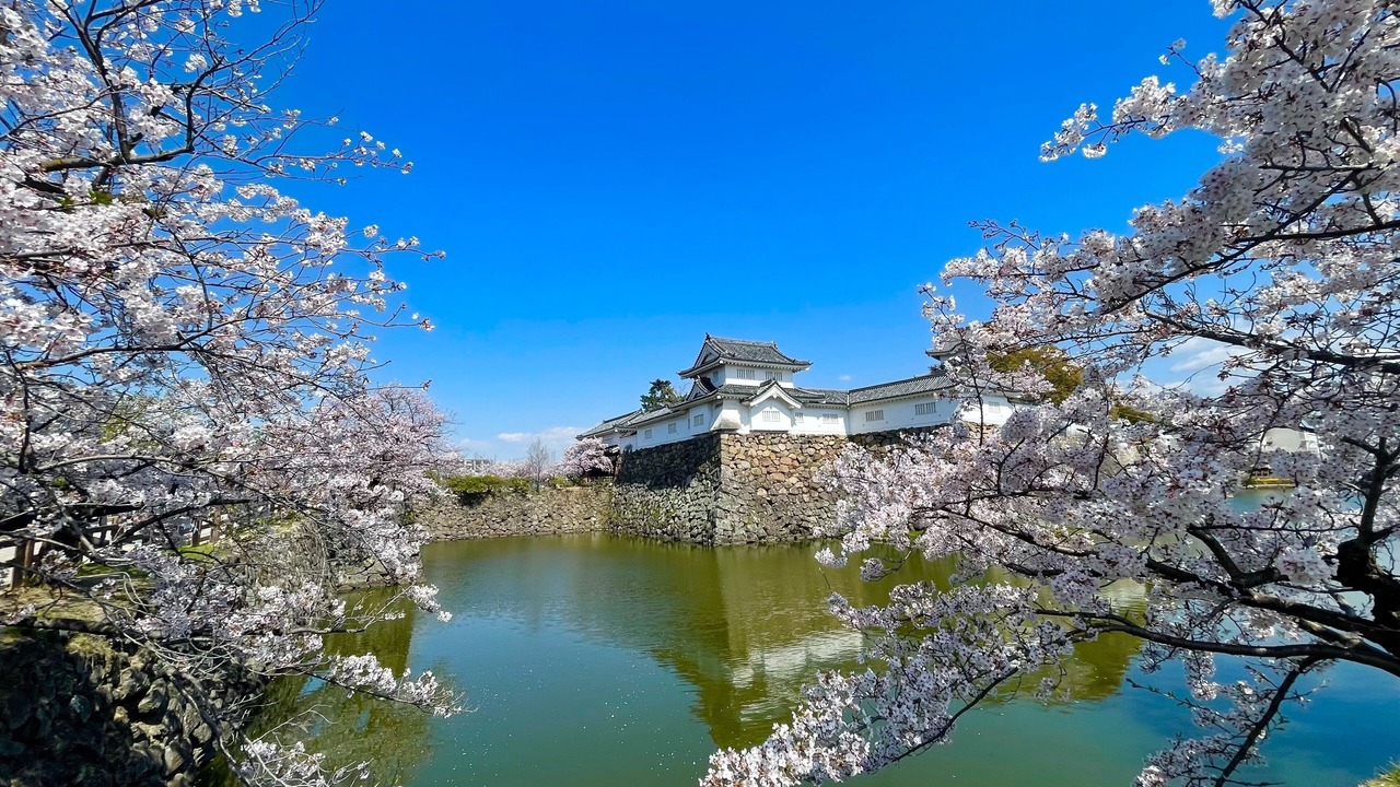 Photo of Outdoor in Kishiwada