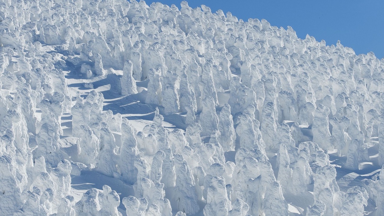 Photo of Others in Tokamachi